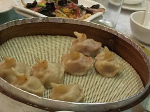 Duck Dumpling