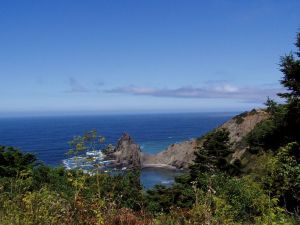 View from somewhere along the Shoreline Highway between SF and Eureka