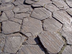 The top of Devil's Postpile